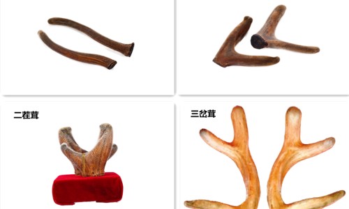 孟鲁司特钠治过敏吗-孟鲁司特功能与主治网 | 孟鲁司特吃多了会有多动症吗,孟鲁司特钠片是水服还是咀嚼